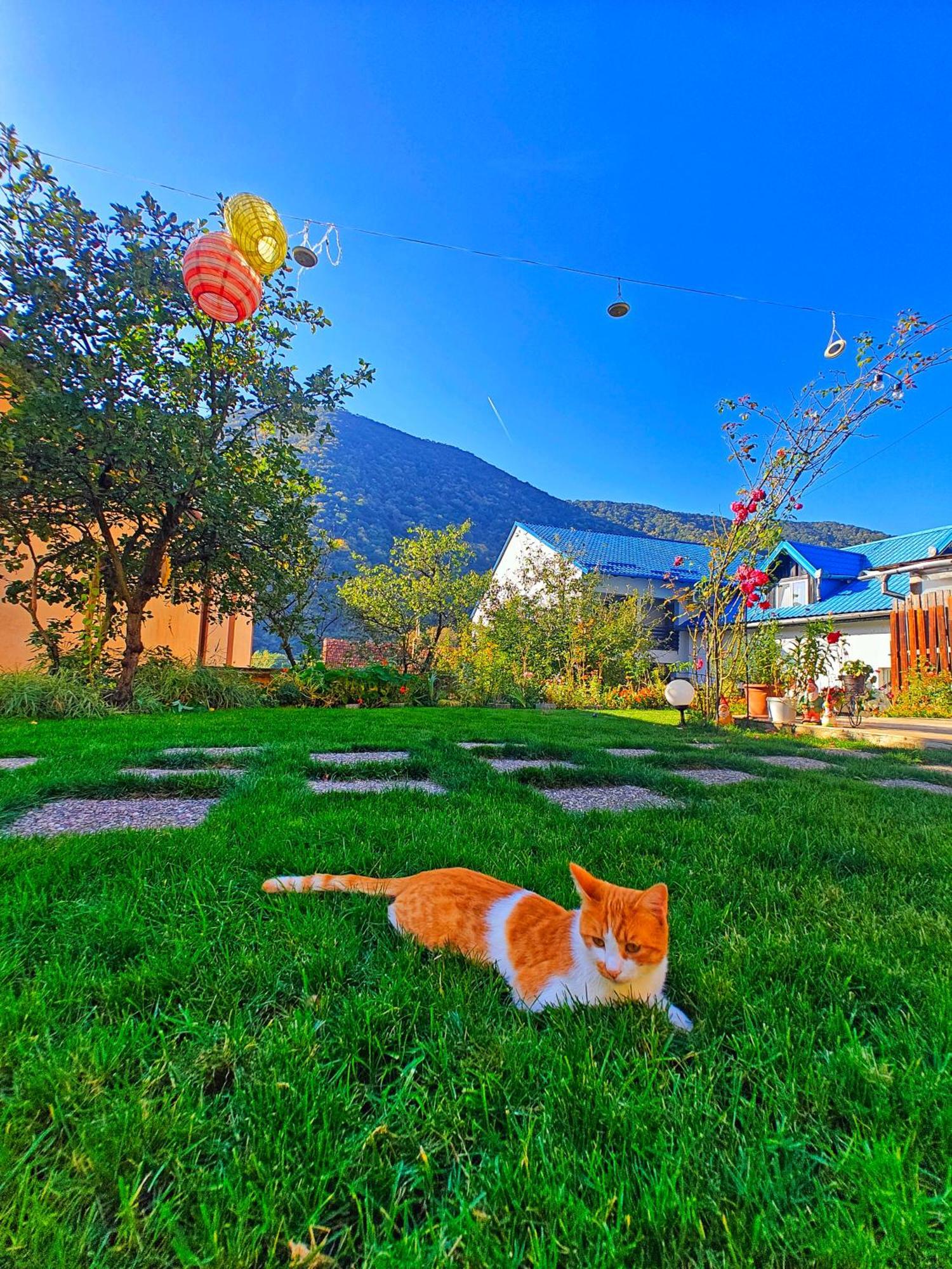 Appartamento Casa Miclau Băile Herculane Esterno foto