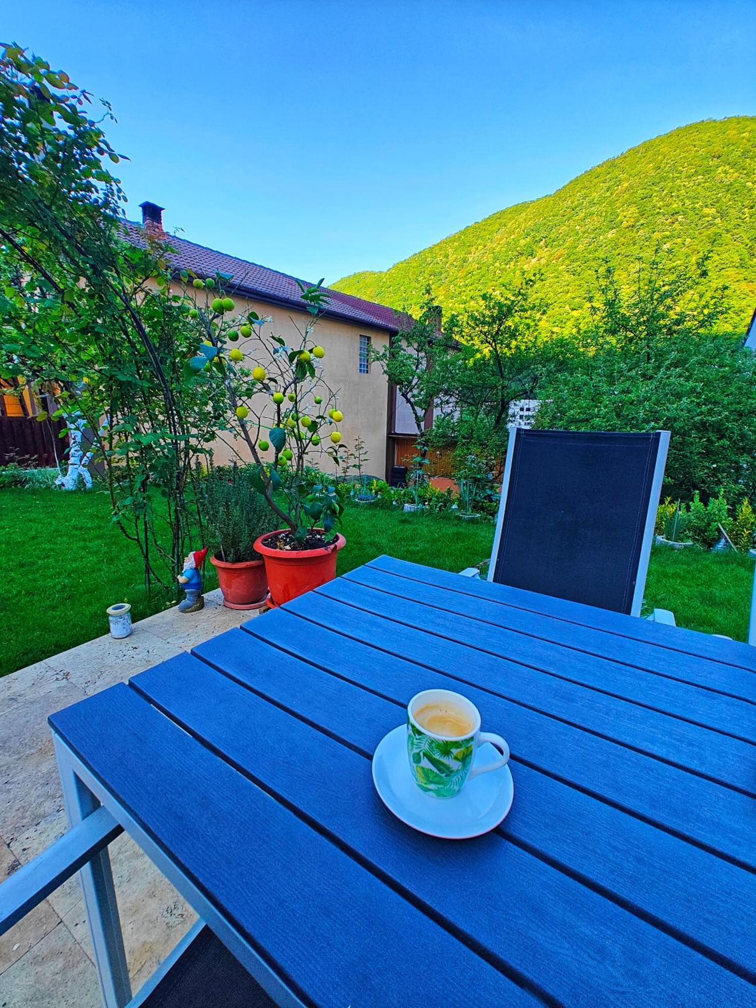 Appartamento Casa Miclau Băile Herculane Esterno foto