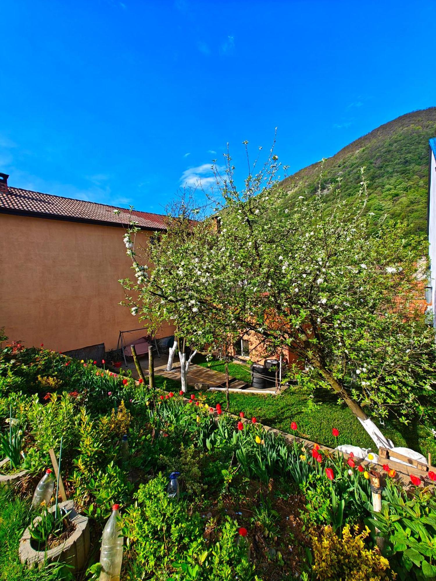 Appartamento Casa Miclau Băile Herculane Esterno foto