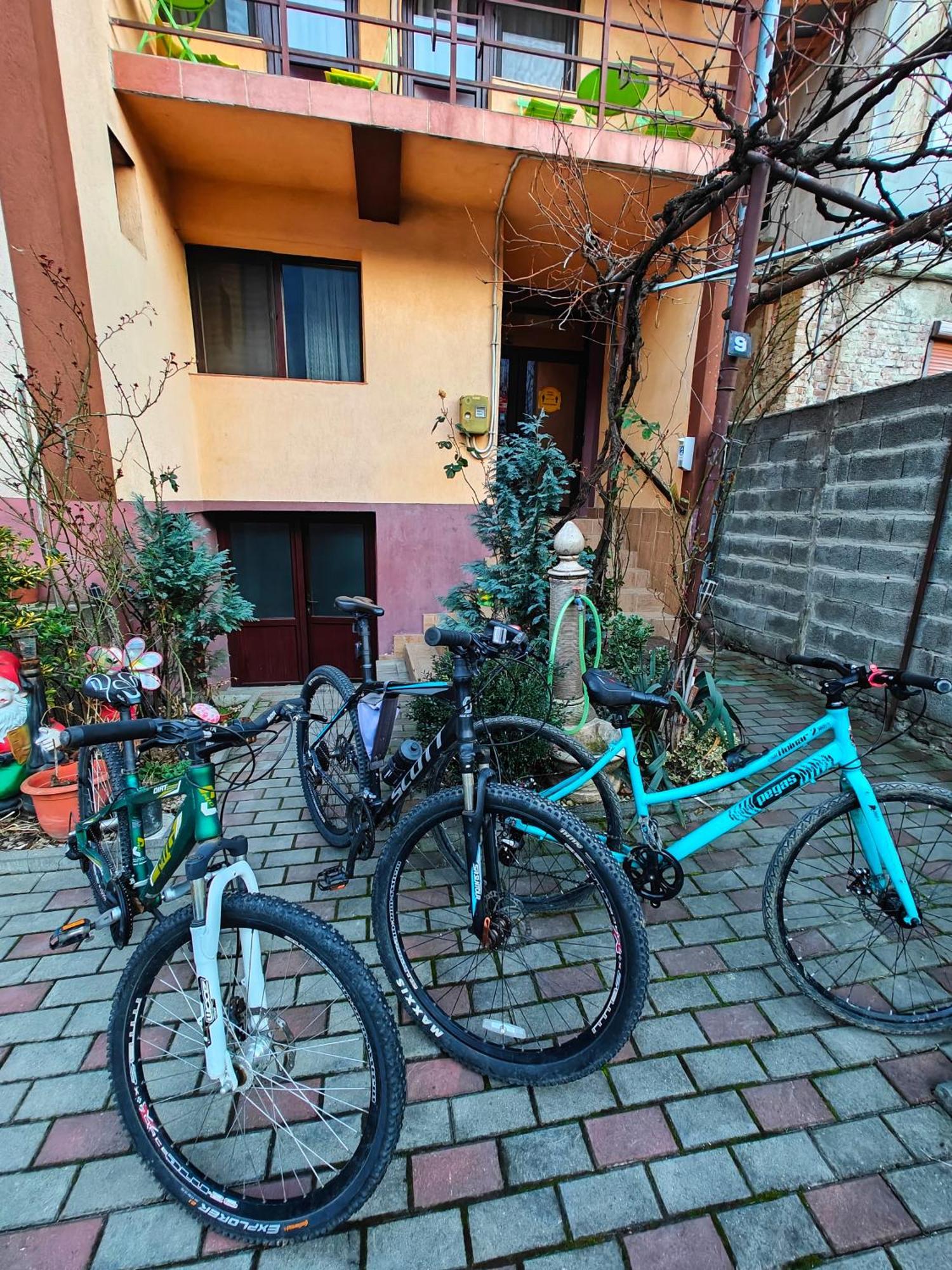 Appartamento Casa Miclau Băile Herculane Esterno foto