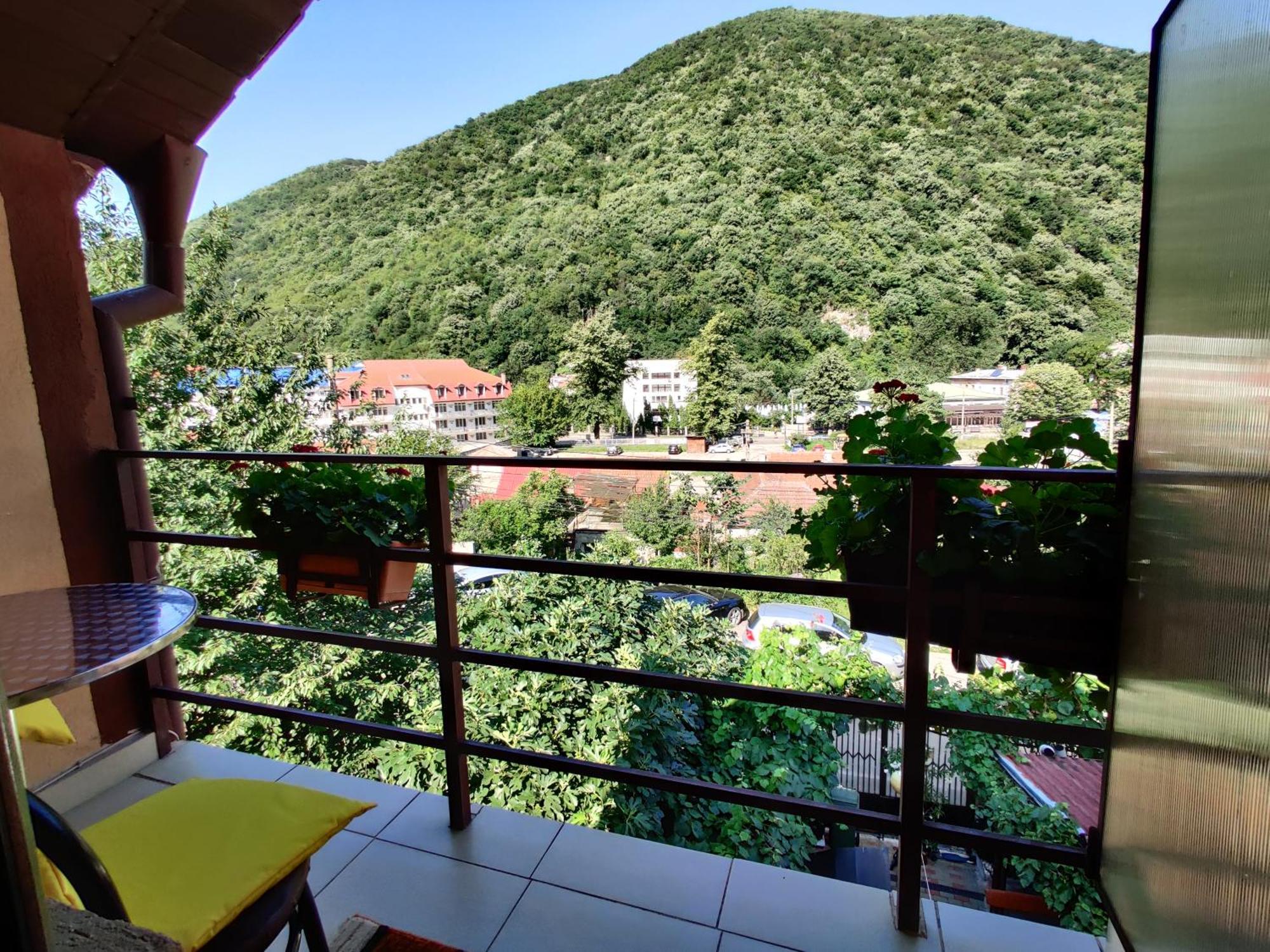 Appartamento Casa Miclau Băile Herculane Camera foto
